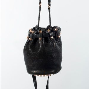Alexander Wang gold studded bucket bag.